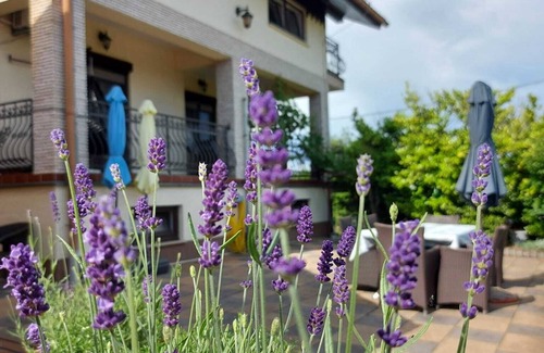 Cvetkovic Apartment | Family-sized Apartment surrounded by beautiful nature.
