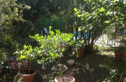 Lodeve Apartment | Family vacation in the sun WEEKLY RENTALS IN SUMMER: Saturday to Saturday