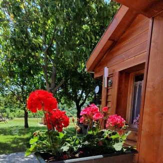 Rezi Apartment | Family Wellness Jacuzzi Sauna Wood Fired Hot Tub 8 Min from Heviz