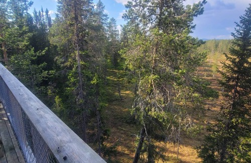 Trysil House | Fantastic Experiences, Wooden Cabin – A Serene Escape in Trysil Forest