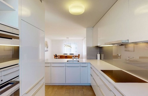 Muhlebach Apartment | Fantastic Penthouse (Mainau 14)