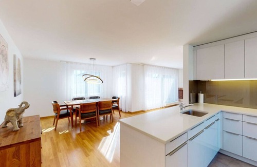 Muhlebach Apartment | Fantastic Penthouse (Mainau 14)