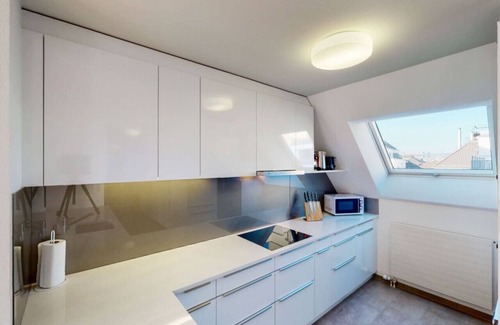 Muhlebach Apartment | Fantastic Penthouse (Mainau 14)