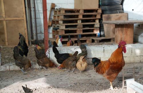 Ouled Cebbah Villa | Farm Fields and Forests 20 min from carrefour berchid