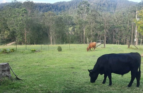 Caparra House | Farm House
