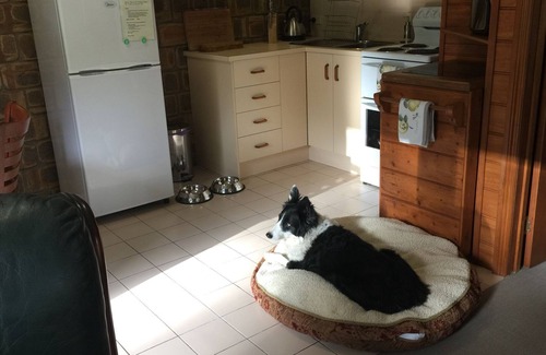 Warrnambool Apartment | Farm House Flat Pet Friendly