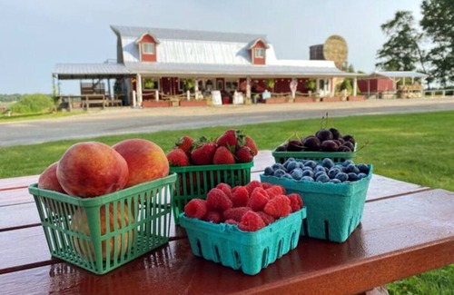 Simcoe Other | Farm Market Retreat