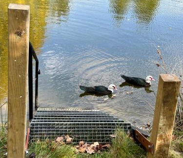 Veberod House | Farm Stay Happy Dogs Ranch