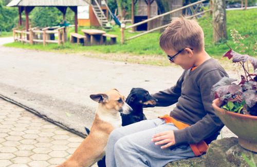 Ljubno House | Farm Stay Loger