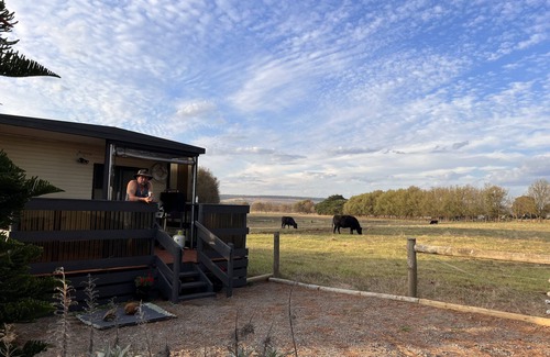 Allestree Cabin | Farm stay with an ocean view