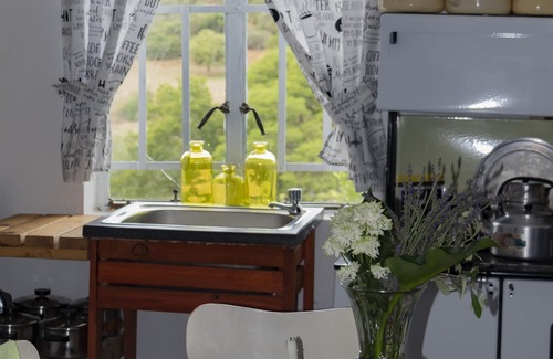Addo Apartment | Farm Stays, Here you Will be Able to Relax and Enjoy the Beauty of Nature