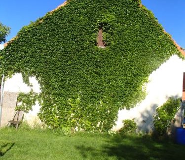 Olbramovice House | Farma Zahradnice