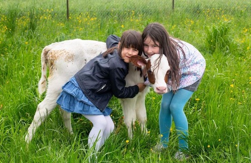 Mavcice Apartment | Farmhouse Apartment Happy Cow