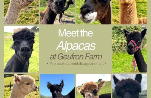 Bryn-crug House | Farmhouse & Cottage at Geufron Farm - Dog friendly