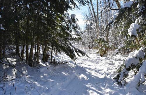 Stowe Area House | Farmhouse cottage close to Smugglers Notch