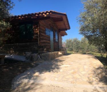 Oasis House | Farmhouse Prosilio