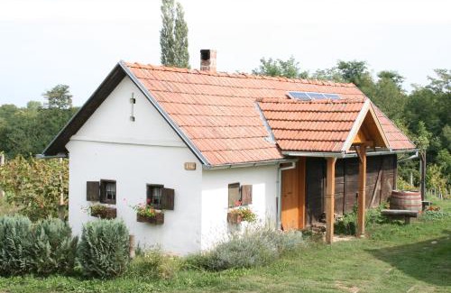 Durdevac House | Farmica, Bed&Breakfast, Bazen izdvojen nekoliko minuta hoda