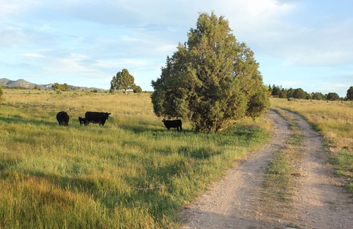 Hatch Apartment | Farriers Quarters Studio on 280 acre Sevier River Ranch - 2 Queen Beds