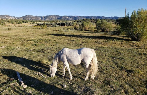 Hatch Apartment | Farriers Quarters Studio on 280 acre Sevier River Ranch - 2 Queen Beds