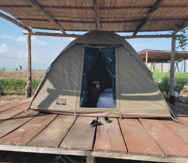 Dande Other | Fazenda Kizonga