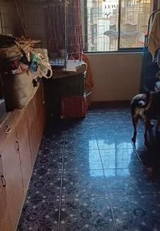Mira Road East House | Feel home with my pets and I while enjoying your private space