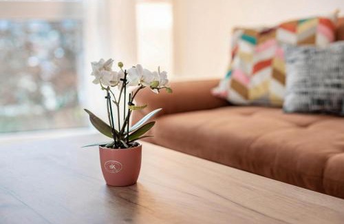 Waldkirch Apartment | Felsenkeller Appartements