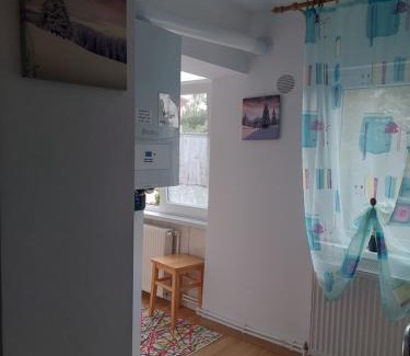 Petrosani Apartment | Fely Room