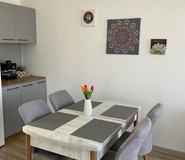 Odorheiu Secuiesc Apartment | Fenyő Apartman