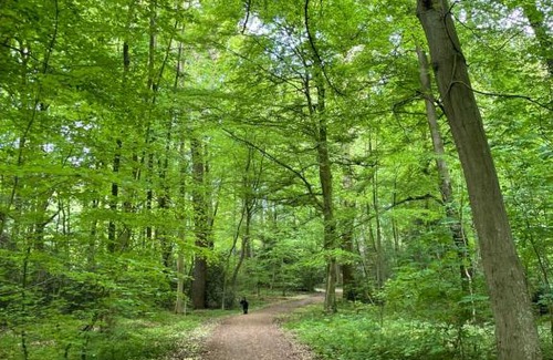 Neuenburg Apartment | Ferienapartment Am Urwald