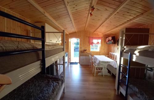 Sveg House | Ferienhäuschen MD Sportfiske