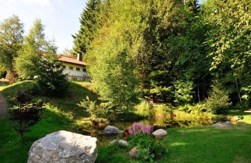 Falkau House | Ferienhaus am Feldberg