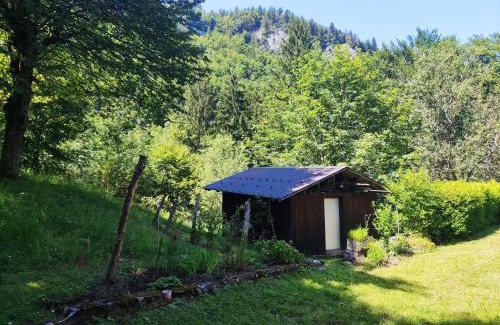 Lungern Apartment | Ferienhaus Bärschwendi