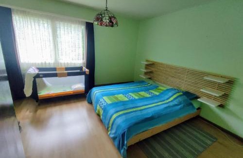 Lungern Apartment | Ferienhaus Bärschwendi