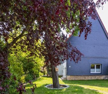 Ellrich House | Ferienhaus Big Family