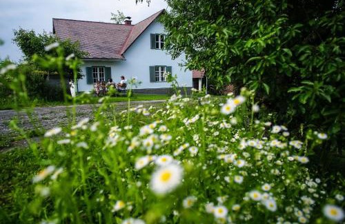 Glanz an der Weinstrasse House | Ferienhaus Vogeljager