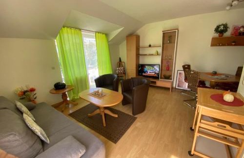 Kotzting Apartment | Ferienresidenz Am weißen Regen