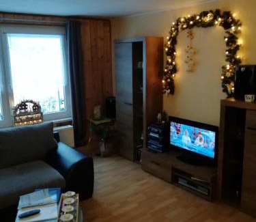 Schmiedefeld am Rennsteig Apartment | Ferienwohnung Bauer Alter Hammer