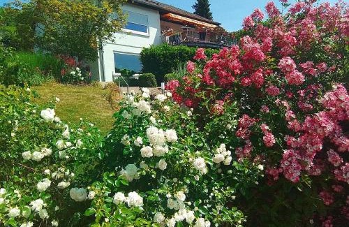 Heidenheim an der Brenz Apartment | Ferienwohnung Josi