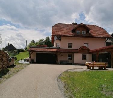 Neumarkt in Steiermark Apartment | Ferienwohnung Familie Pichler