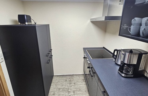 Bad Klosterlausnitz Apartment | Ferienwohnung Schwanenteich