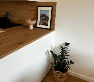 Oberdorla Apartment | Ferienwohnung an der Windmühle