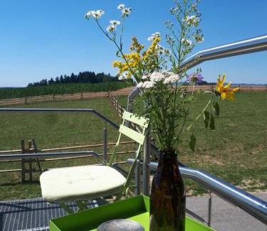 Haselbach Apartment | Ferienwohnung am Dachsberg, Bayerischer Wald