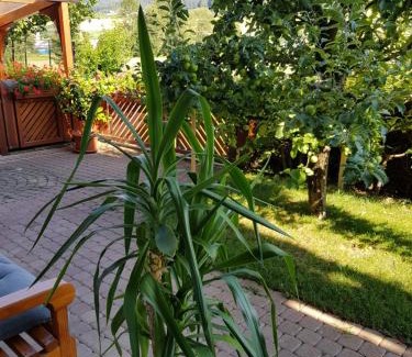 Winden im Elztal Apartment | Ferienwohnung am Rain