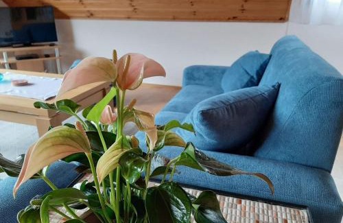 Finnentrop Apartment | Ferienwohnung am Patenberg