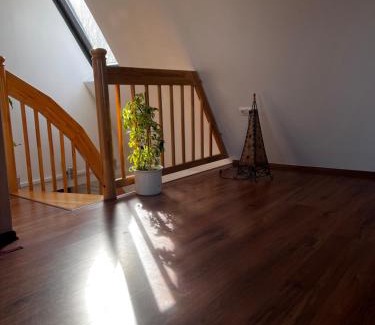Hahausen Apartment | Ferienwohnung am Waldrand