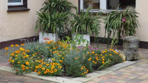 Gebesee Apartment | Ferienwohnung bei Erfurt