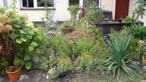 Gebesee Apartment | Ferienwohnung bei Erfurt
