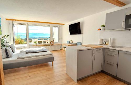 Scheidegg Apartment | Ferienwohnung BergWolke mit Pool & Sauna