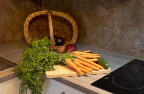 Frickenhausen Apartment | Ferienwohnung Burgblick im Neuffener Tal mit Sauna und Wallbox