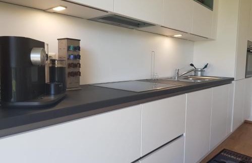 Ofingen Apartment | Ferienwohnung Daudi